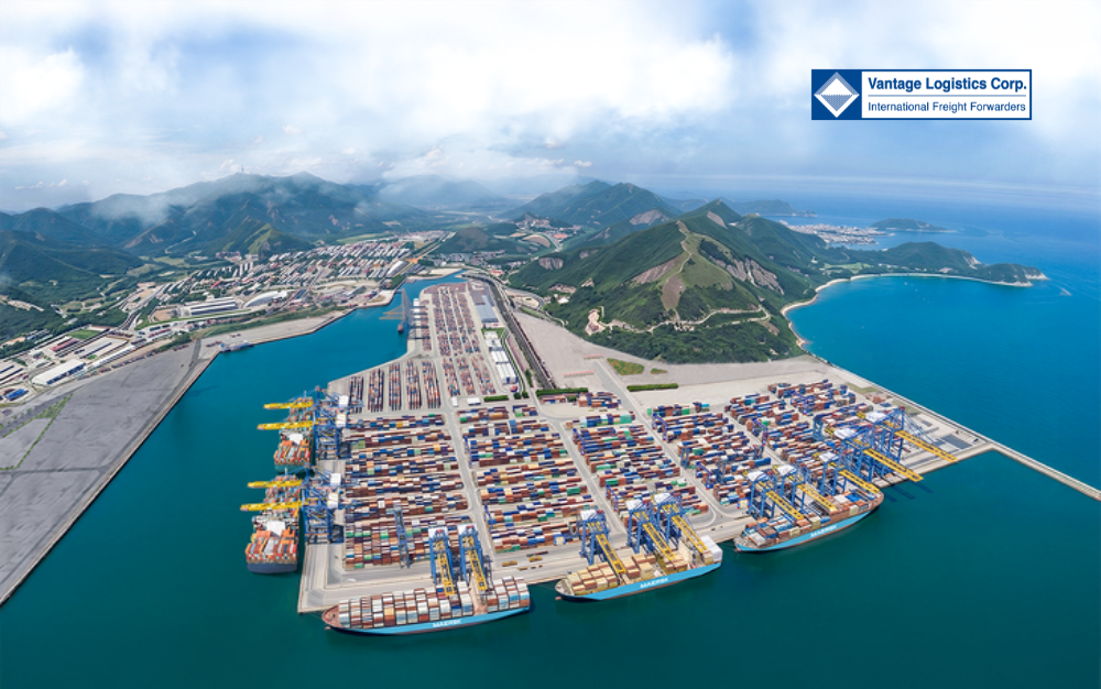vlc-news-lien-chieu-port-in-da-nang