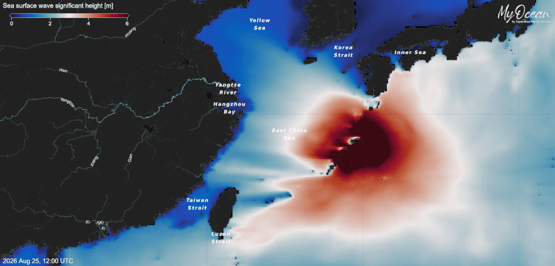 Saudel-typhoon-gif-27082026
