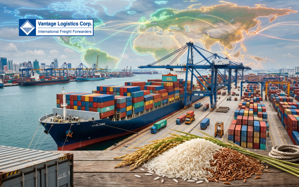 vlc-news-rice-export (800 x 500 px)-1